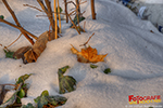 Der Winter hat gewonnen und der Frühling traut sich nicht!